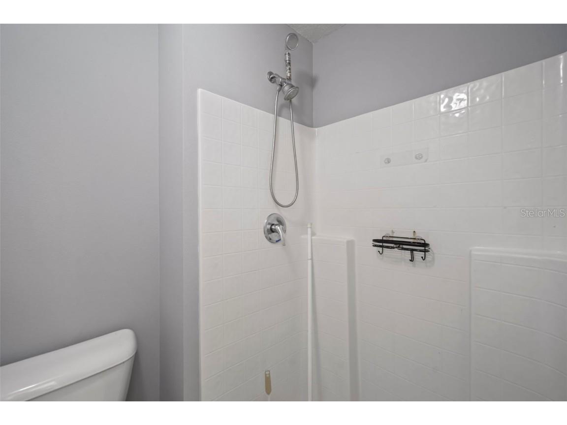 1303 Alhambra Crest Drive Ruskin FL 33570 TB8443826 image45