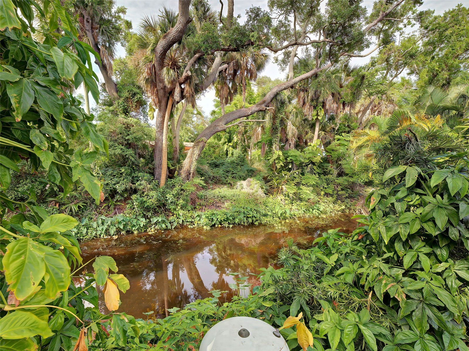 1303 E Gate Drive Venice FL 34285 A4692226 image55