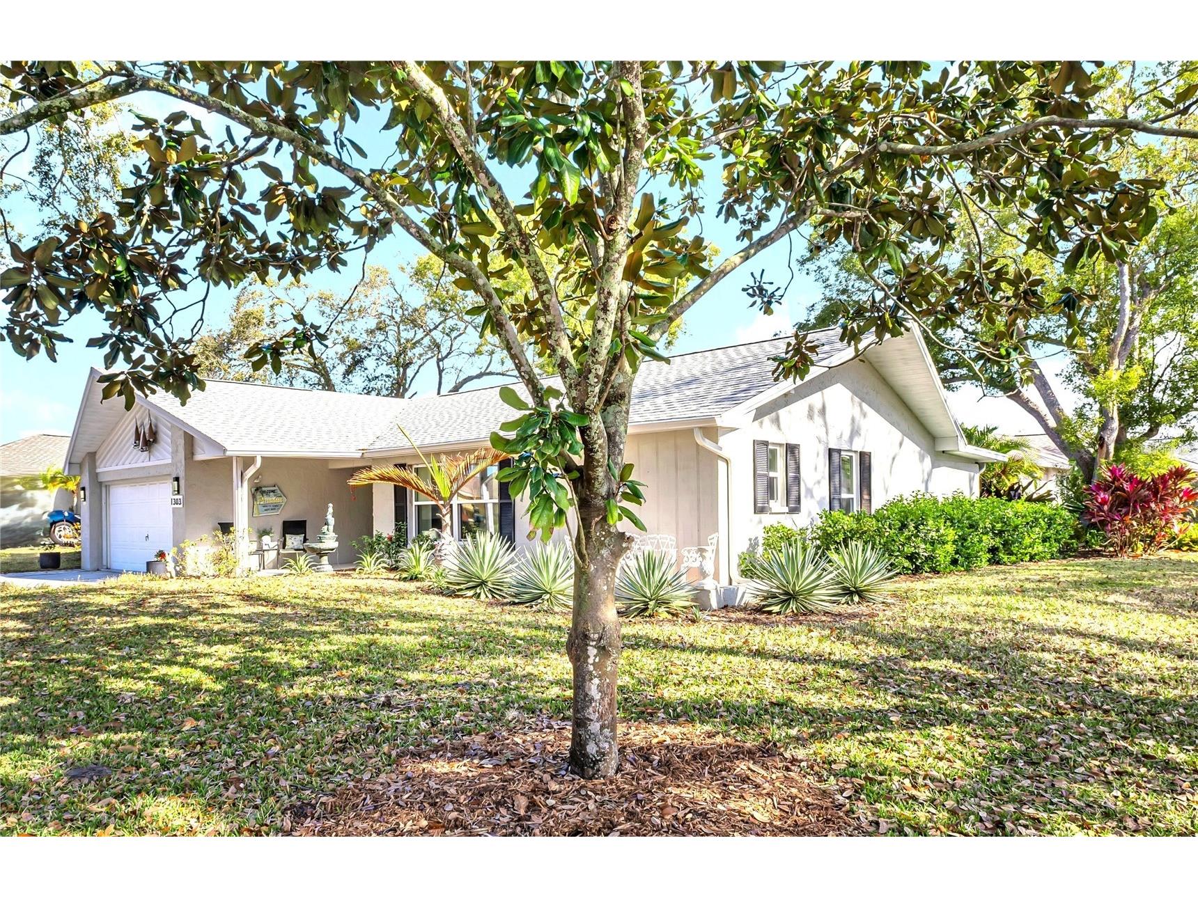 1303 Glengarry Drive Palm Harbor FL 34684 TB8477898 image1