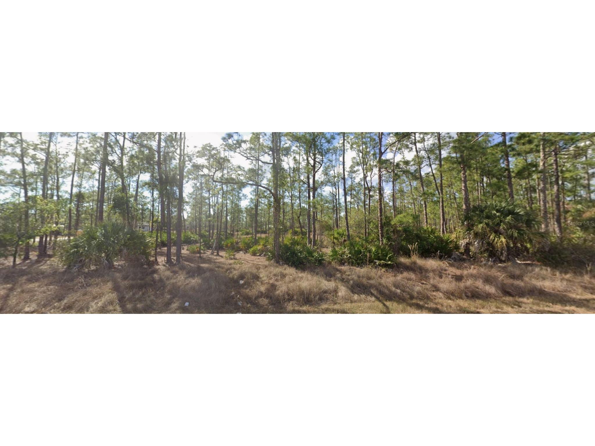 1303 Glenn Avenue Lehigh Acres FL 33972 OM726823 image2