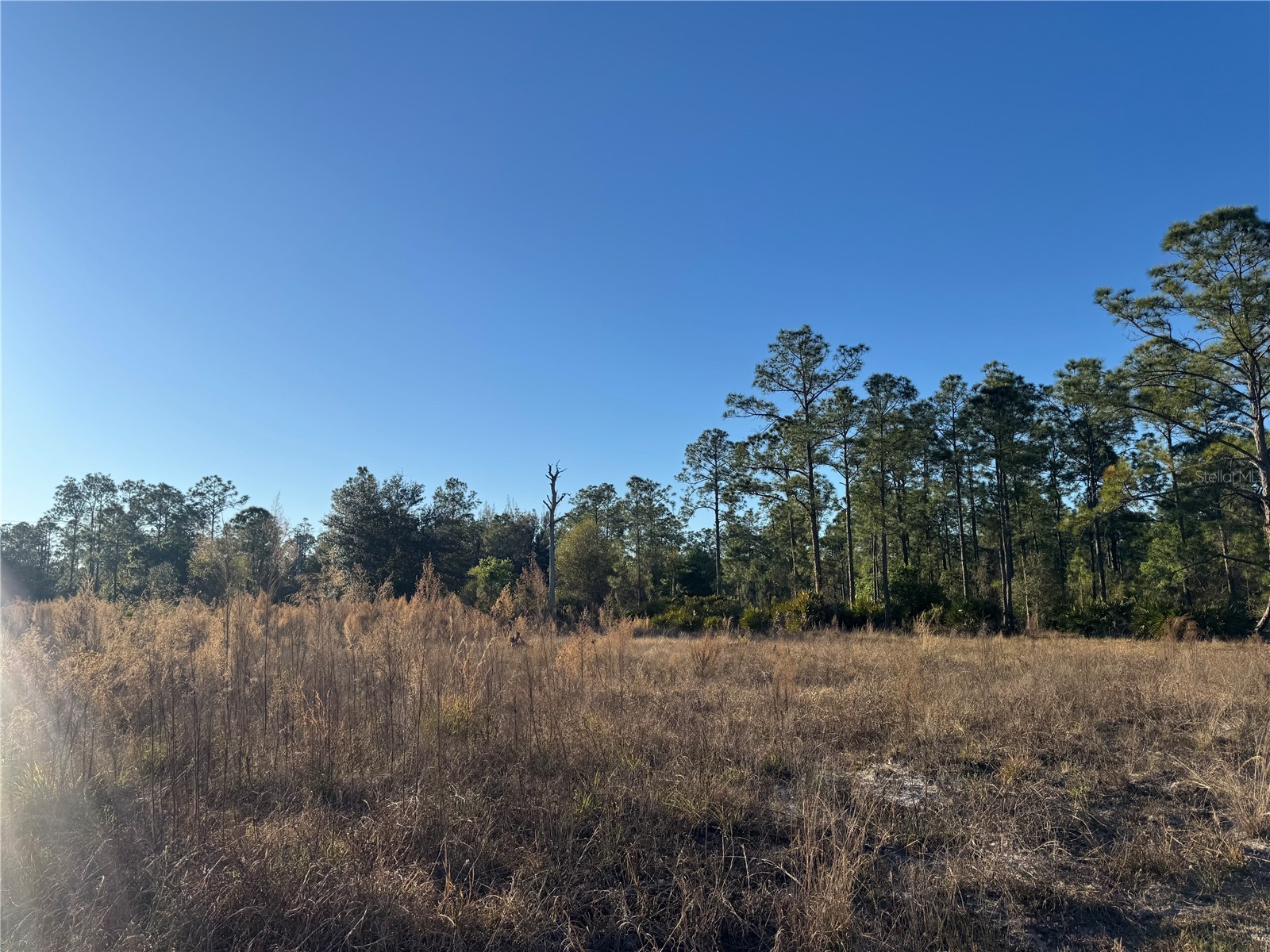 1303 Hamilton Avenue Lehigh Acres FL 33972 A4680816 image2