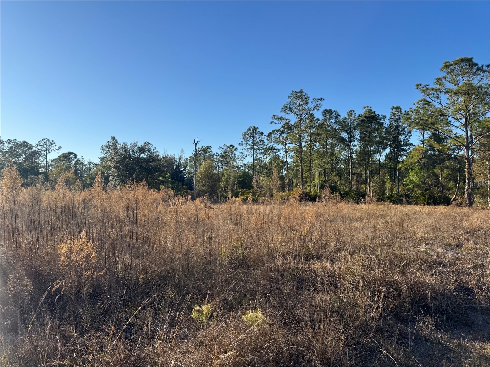 1303 Hamilton Avenue Lehigh Acres FL 33972 A4680816 image3