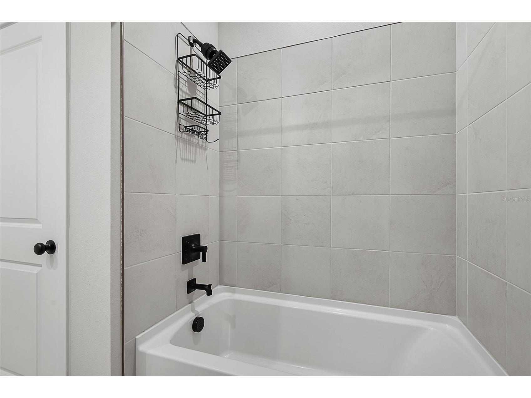 1303 Ribbon Place Palm Coast FL 32164 FC319724 image33