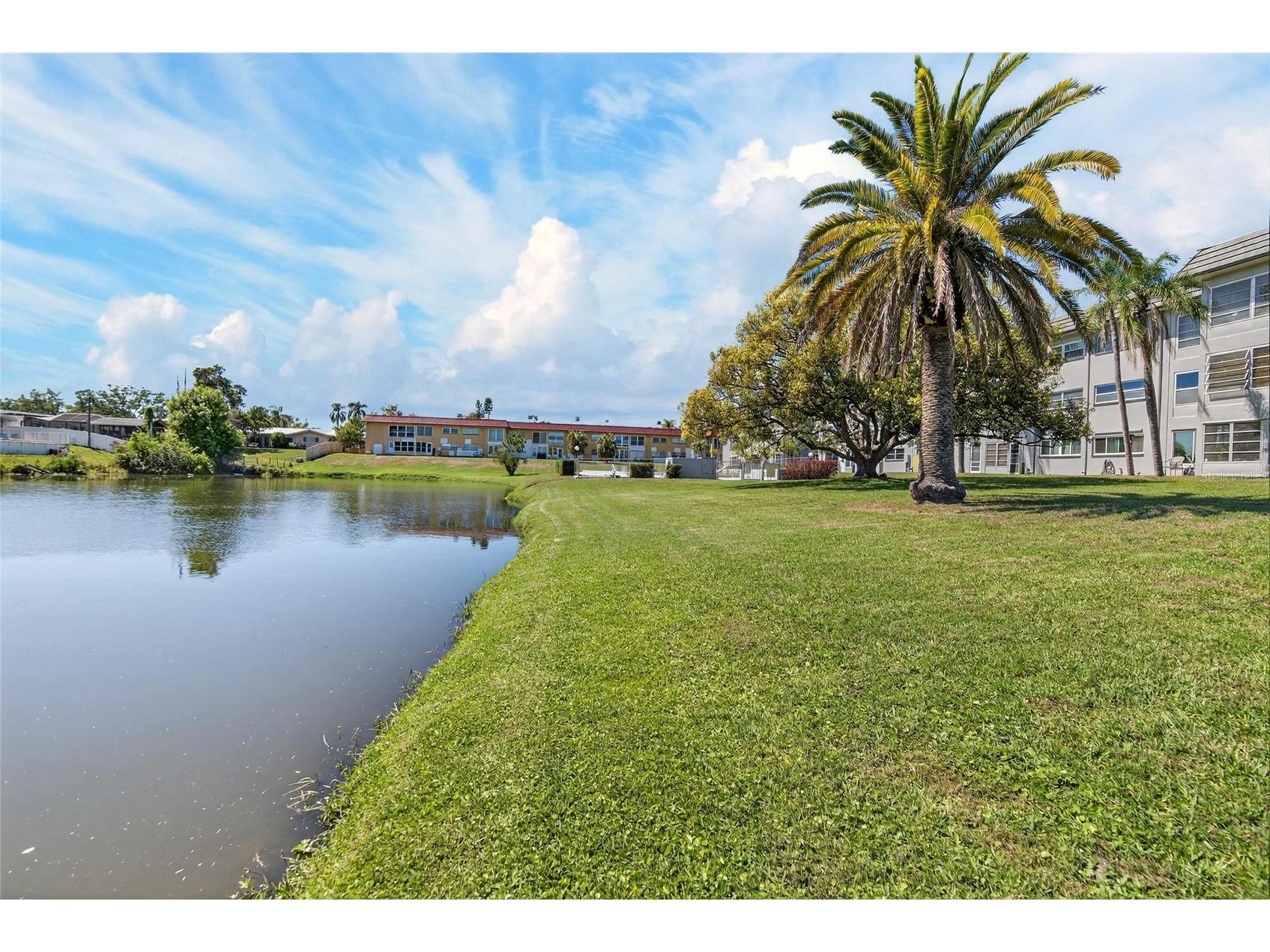 1303 S Hercules Avenue #2 Clearwater FL 33764 TB8487757 image41