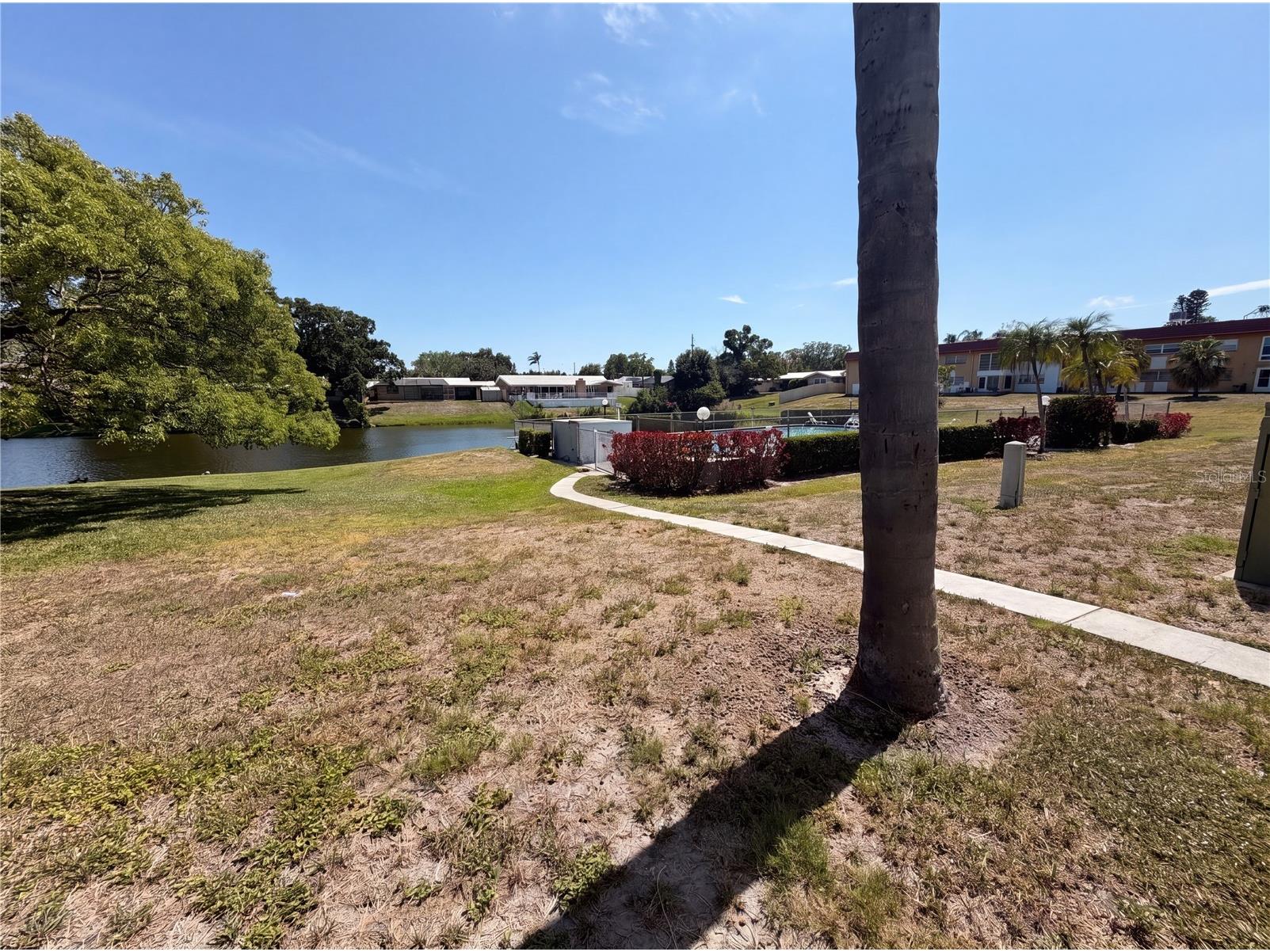 1303 S Hercules Avenue #6 Clearwater FL 33764 O6406529 image25