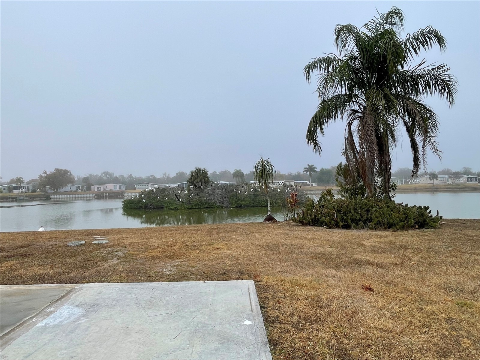 1303 Sanderling Drive Englewood FL 34224 - CASEY POND D6145858 image18