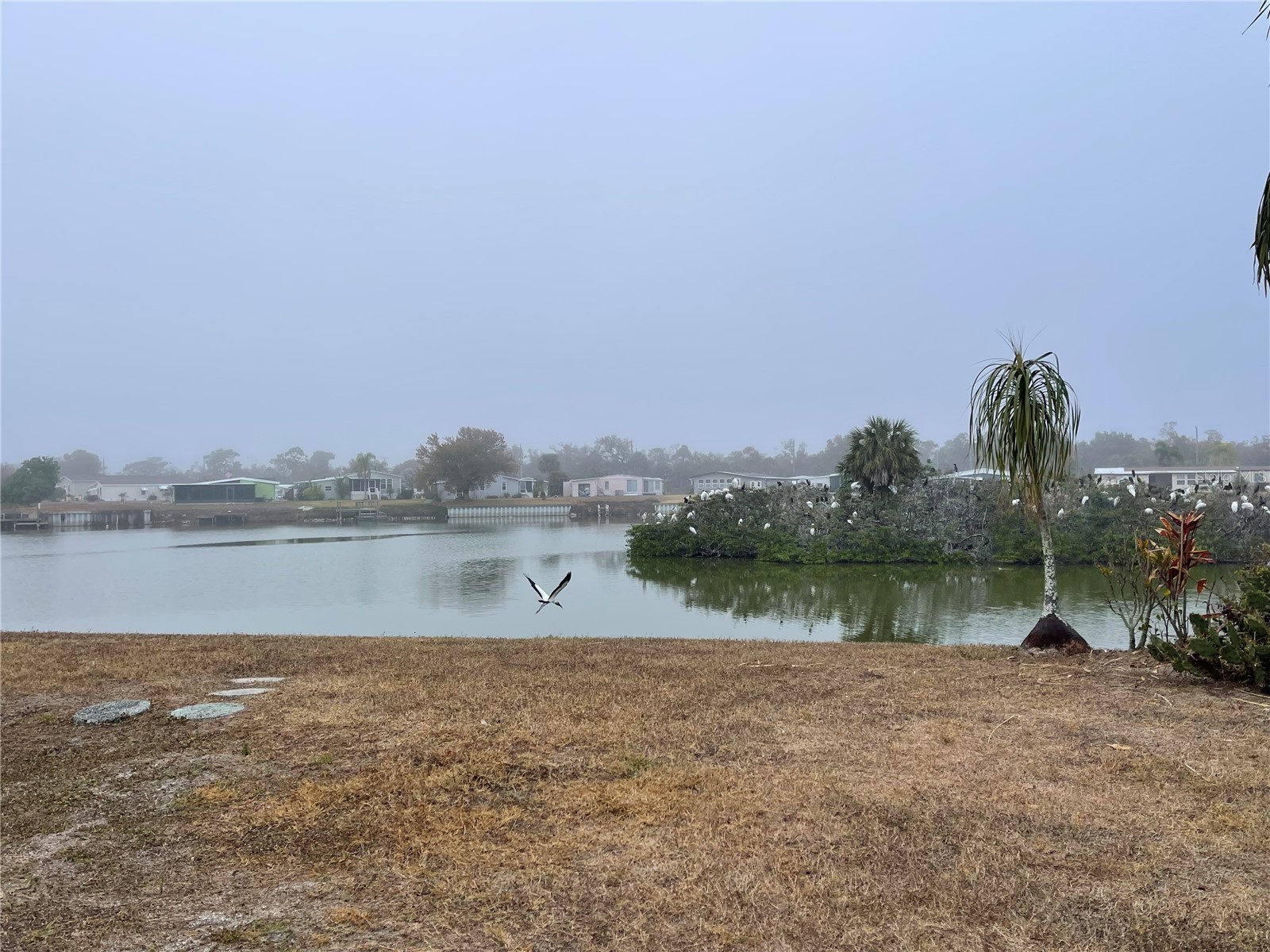 1303 Sanderling Drive Englewood FL 34224 - CASEY POND D6145858 image19