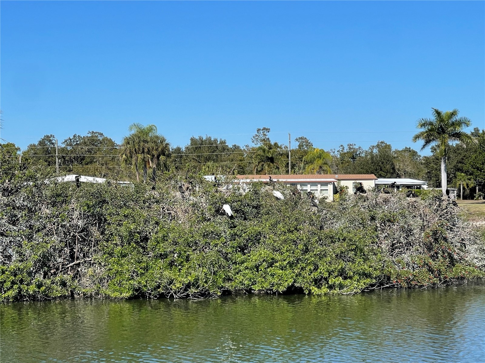 1303 Sanderling Drive Englewood FL 34224 - CASEY POND D6145858 image9