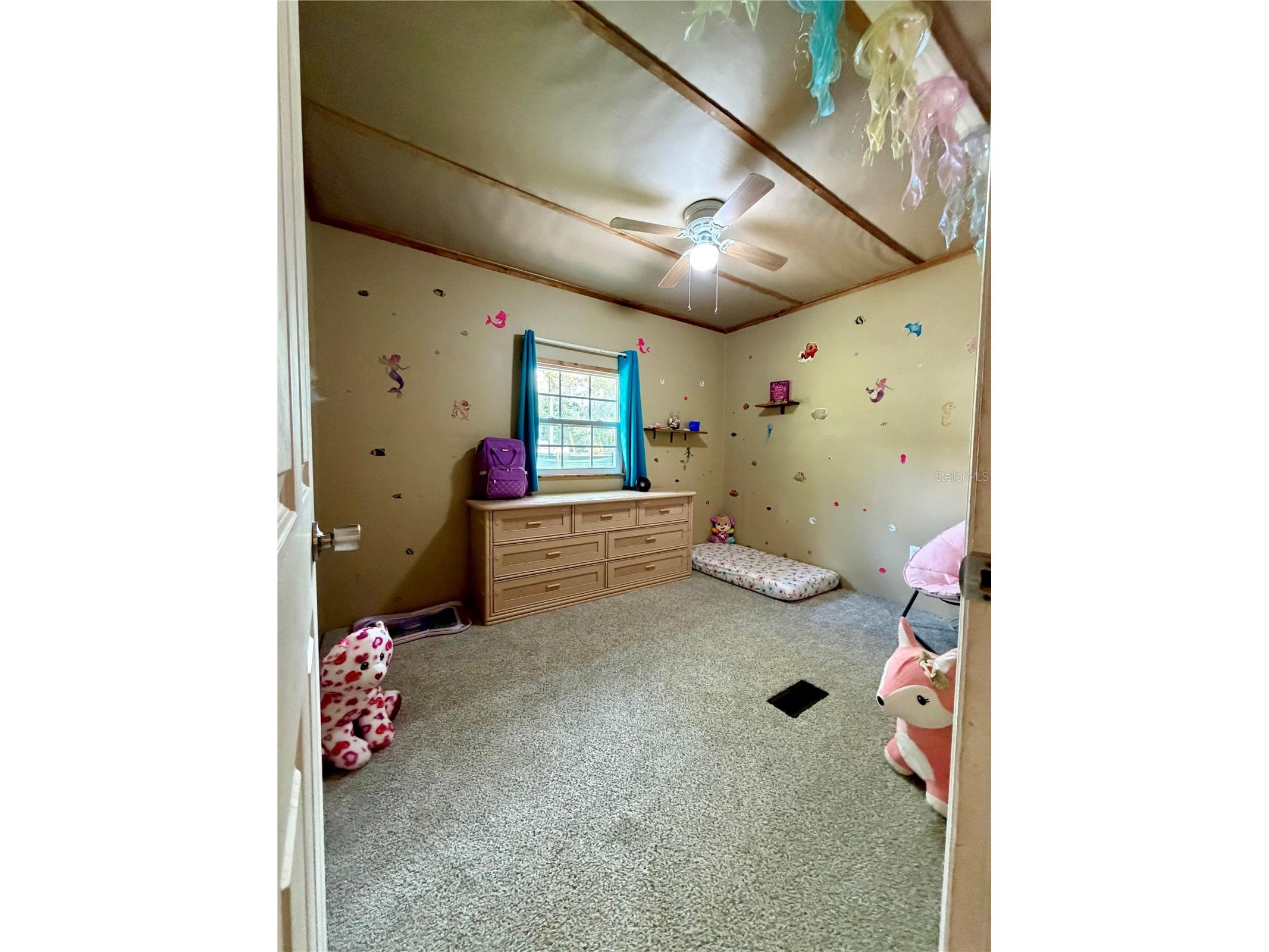 13030 NE 249 Court Fort Mc Coy FL 32134 - LITTLE LAKE KERR OM727756 image12