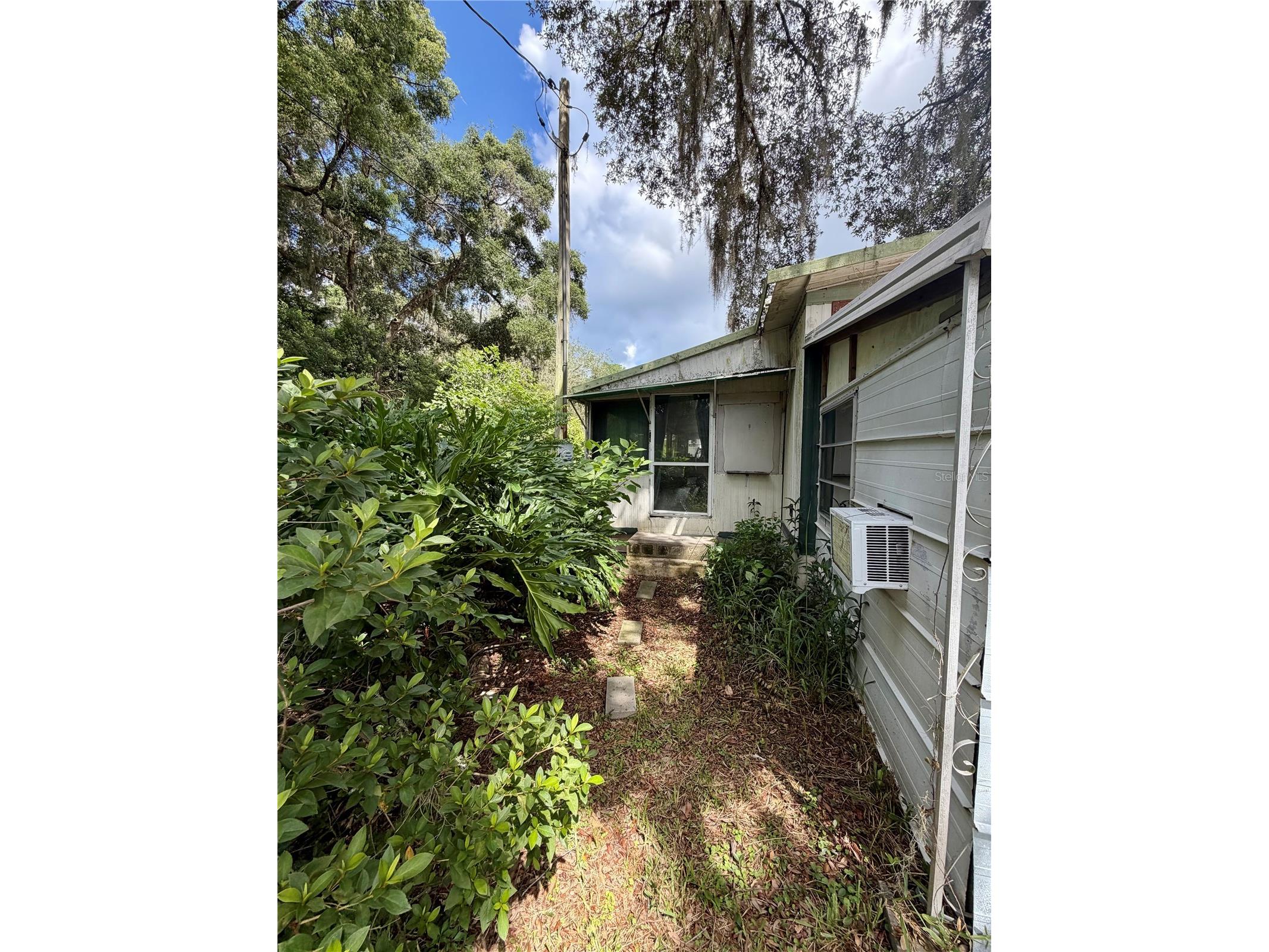 13030 NE 249 Court Fort Mc Coy FL 32134 - LITTLE LAKE KERR OM727756 image23