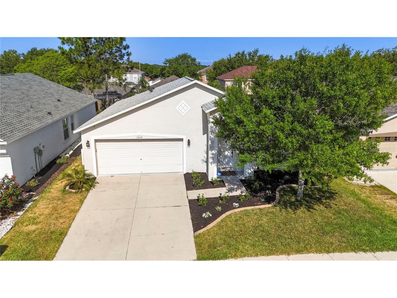 13030 Tribute Drive Riverview FL 33578 T3525265 image1