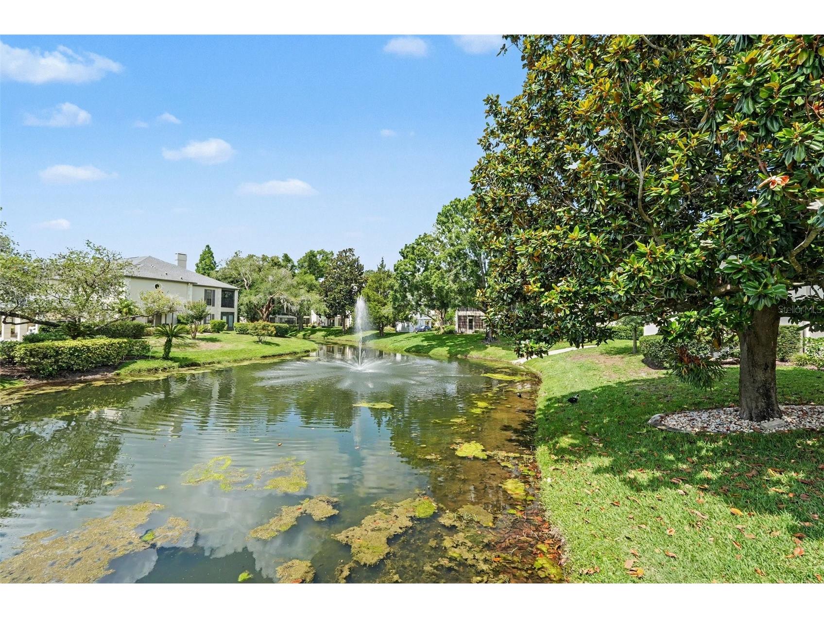 13030 Village Chase Circle Tampa FL 33618 TB8508466 image22