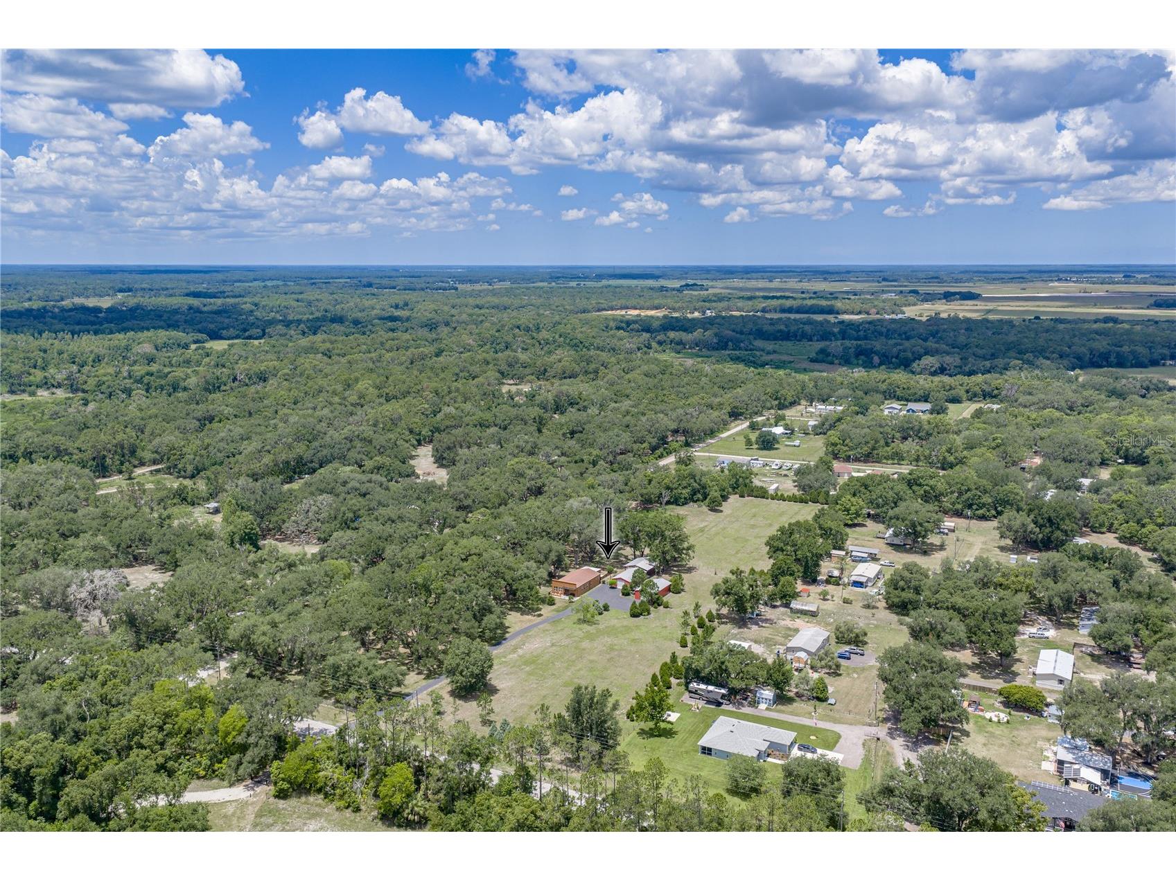 13031 Bellamy Brothers Boulevard Dade City FL 33525 - PRIVATE SPRING FED POND TB8522450 image3