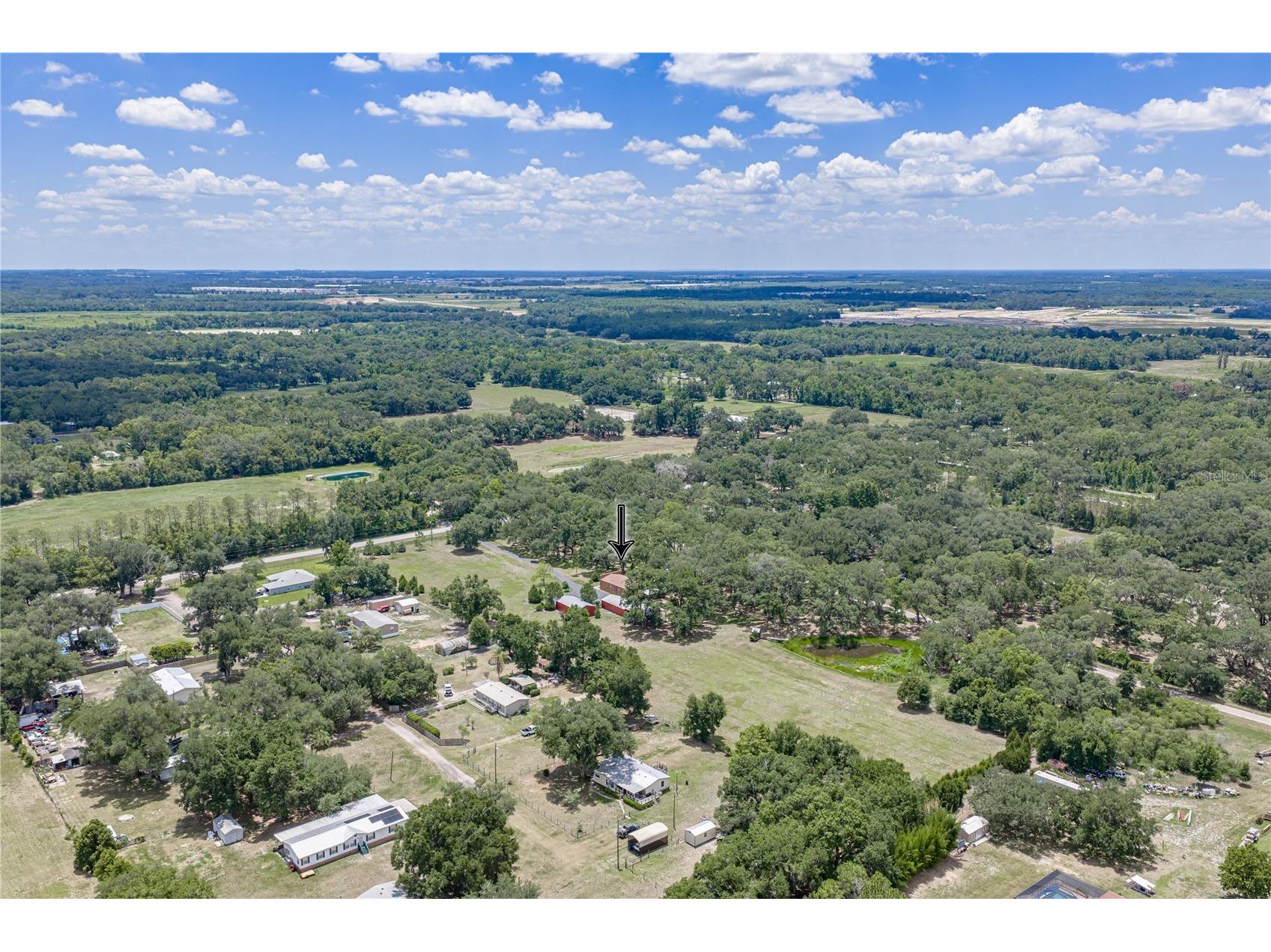 13031 Bellamy Brothers Boulevard Dade City FL 33525 - PRIVATE SPRING FED POND TB8522450 image4