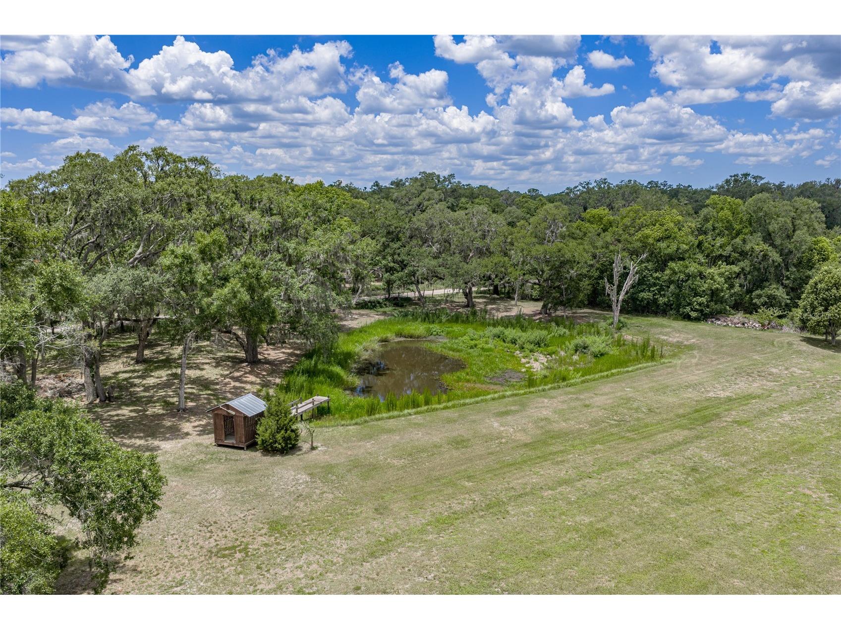 13031 Bellamy Brothers Boulevard Dade City FL 33525 - PRIVATE SPRING FED POND TB8522450 image5