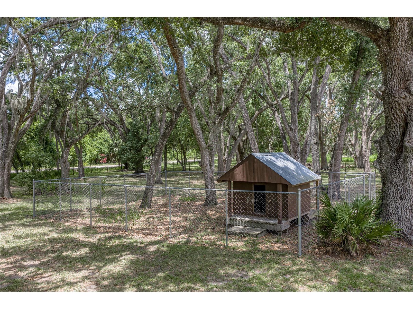 13031 Bellamy Brothers Boulevard Dade City FL 33525 - PRIVATE SPRING FED POND TB8522450 image56
