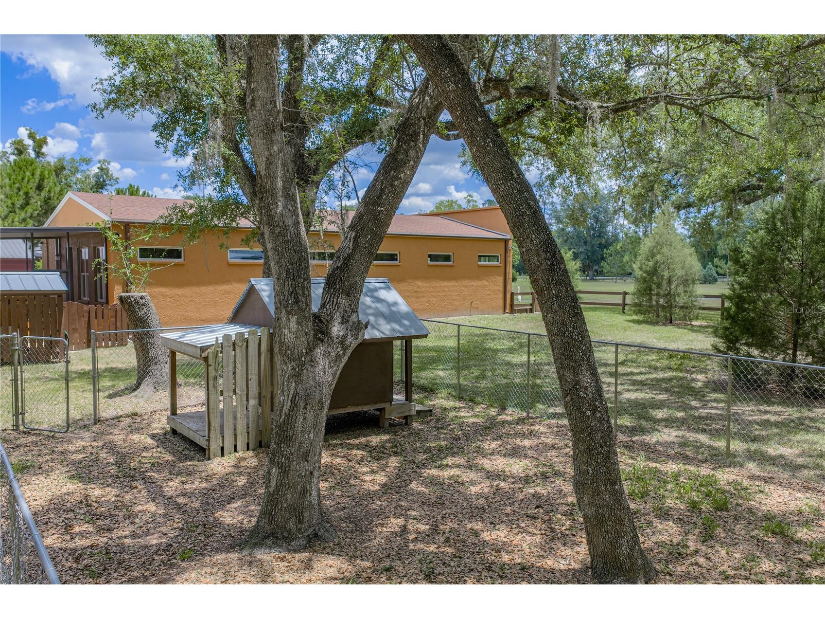 13031 Bellamy Brothers Boulevard Dade City FL 33525 - PRIVATE SPRING FED POND TB8522450 image57