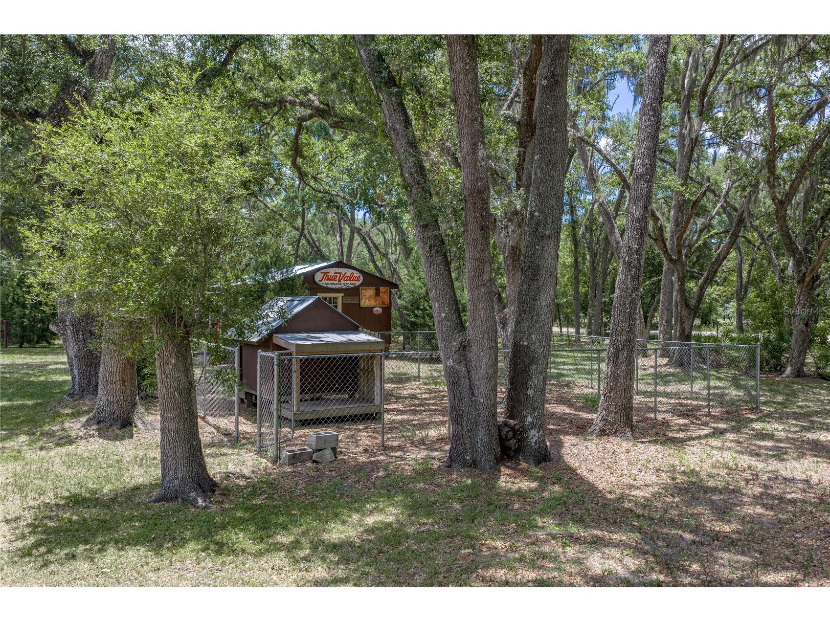 13031 Bellamy Brothers Boulevard Dade City FL 33525 - PRIVATE SPRING FED POND TB8522450 image58