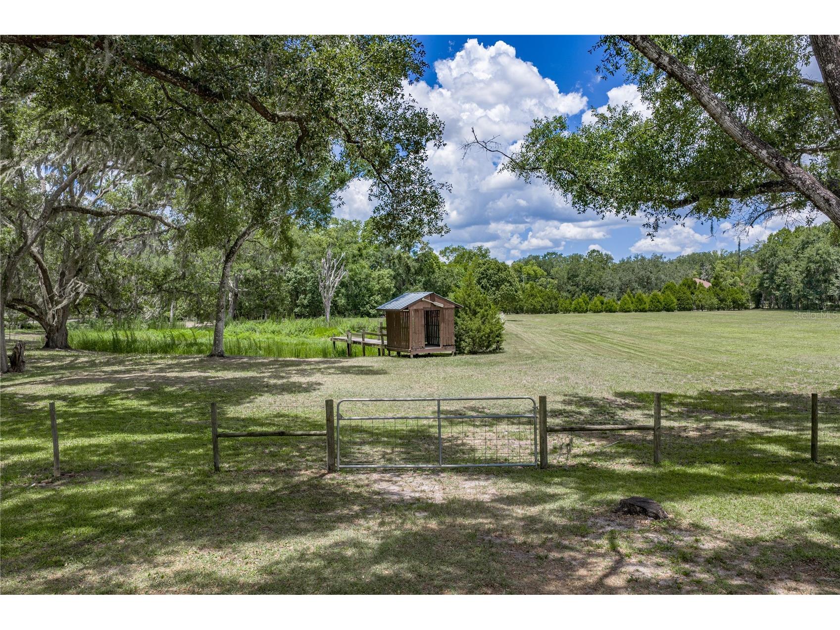 13031 Bellamy Brothers Boulevard Dade City FL 33525 - PRIVATE SPRING FED POND TB8522450 image59