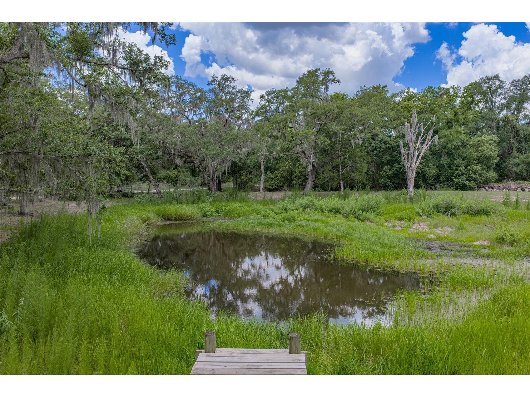 13031 Bellamy Brothers Boulevard Dade City FL 33525 - PRIVATE SPRING FED POND TB8522450 image61