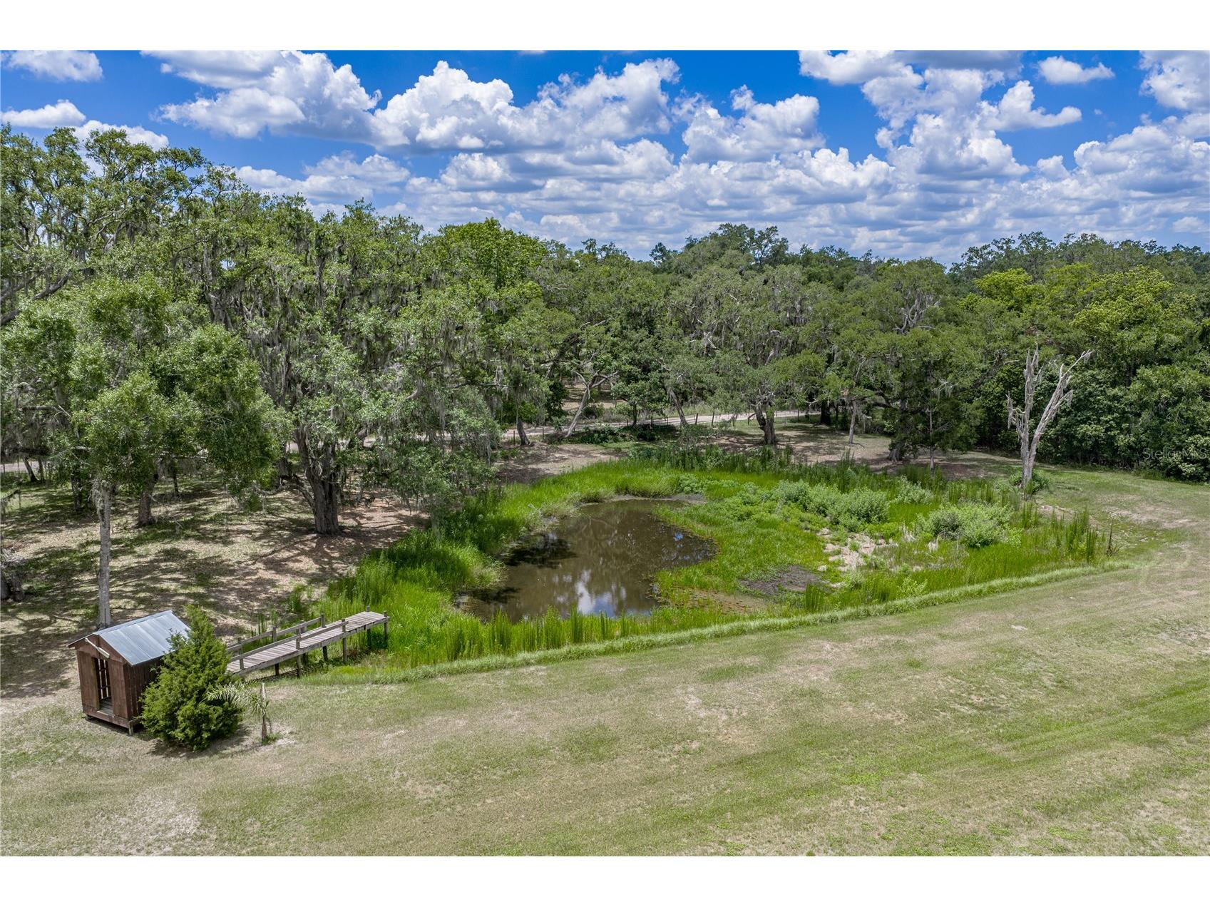 13031 Bellamy Brothers Boulevard Dade City FL 33525 - PRIVATE SPRING FED POND TB8522450 image62