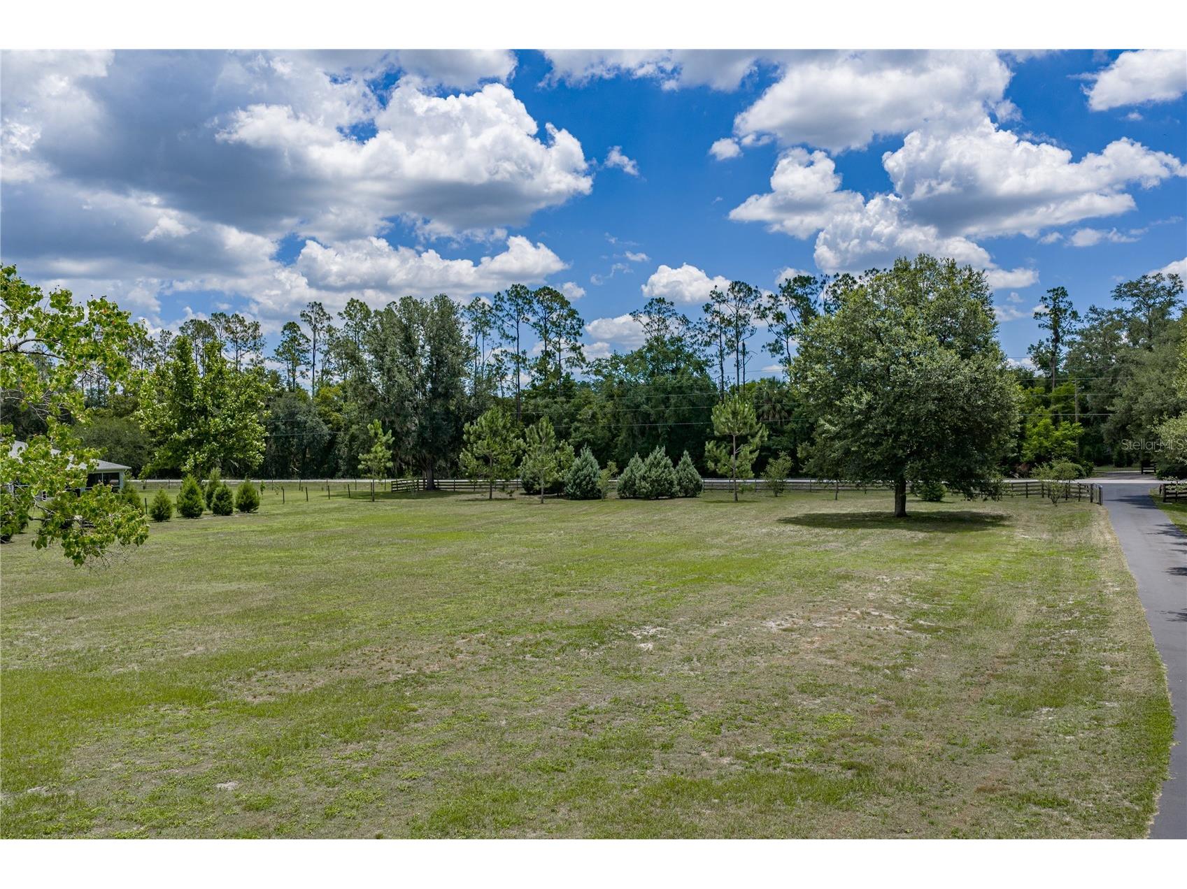 13031 Bellamy Brothers Boulevard Dade City FL 33525 - PRIVATE SPRING FED POND TB8522450 image64