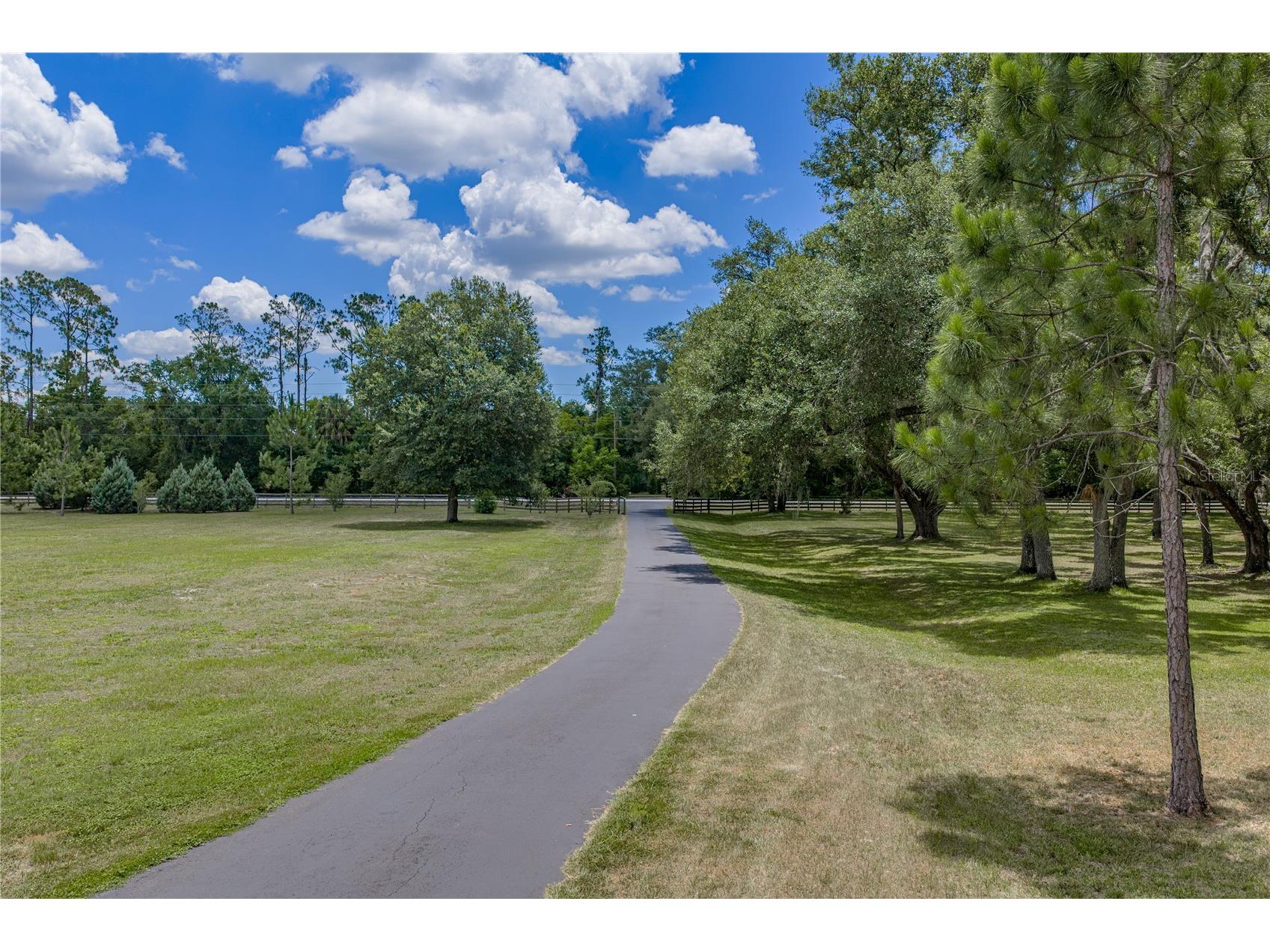 13031 Bellamy Brothers Boulevard Dade City FL 33525 - PRIVATE SPRING FED POND TB8522450 image65