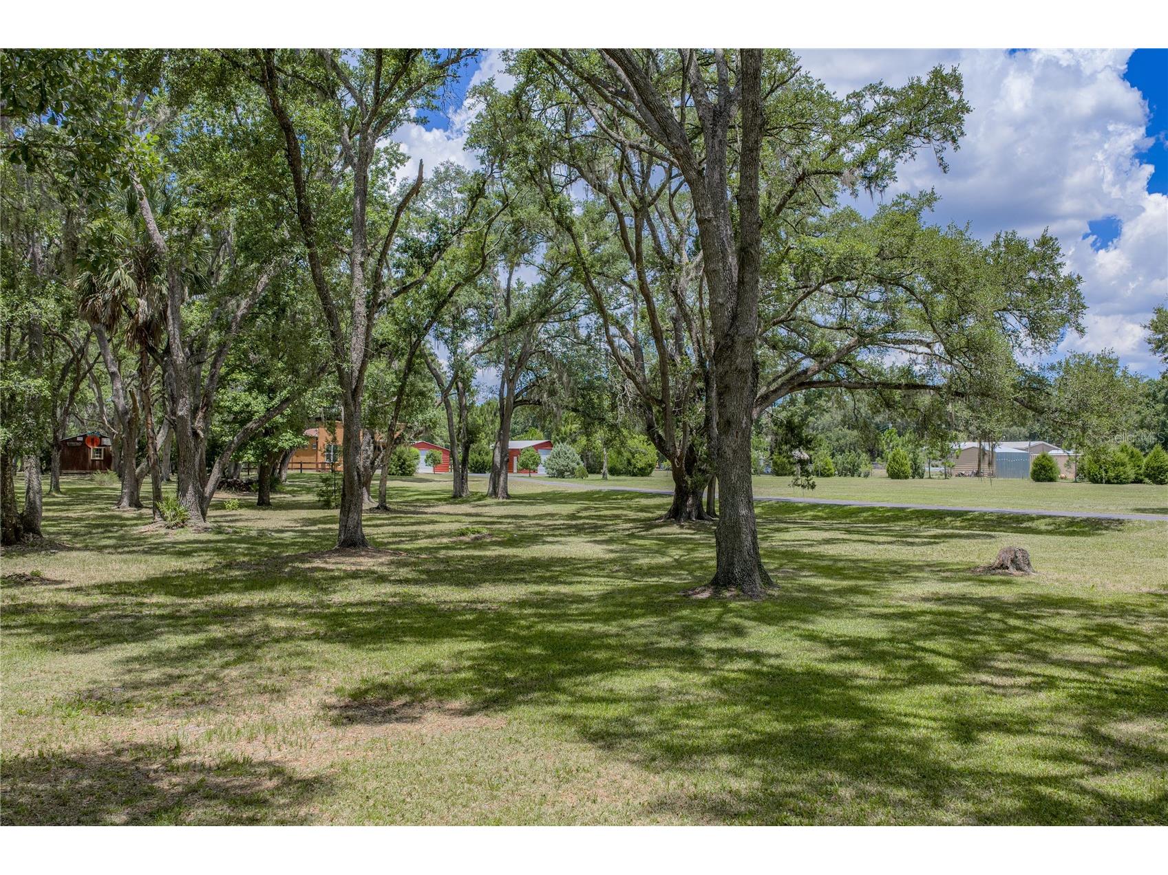 13031 Bellamy Brothers Boulevard Dade City FL 33525 - PRIVATE SPRING FED POND TB8522450 image66