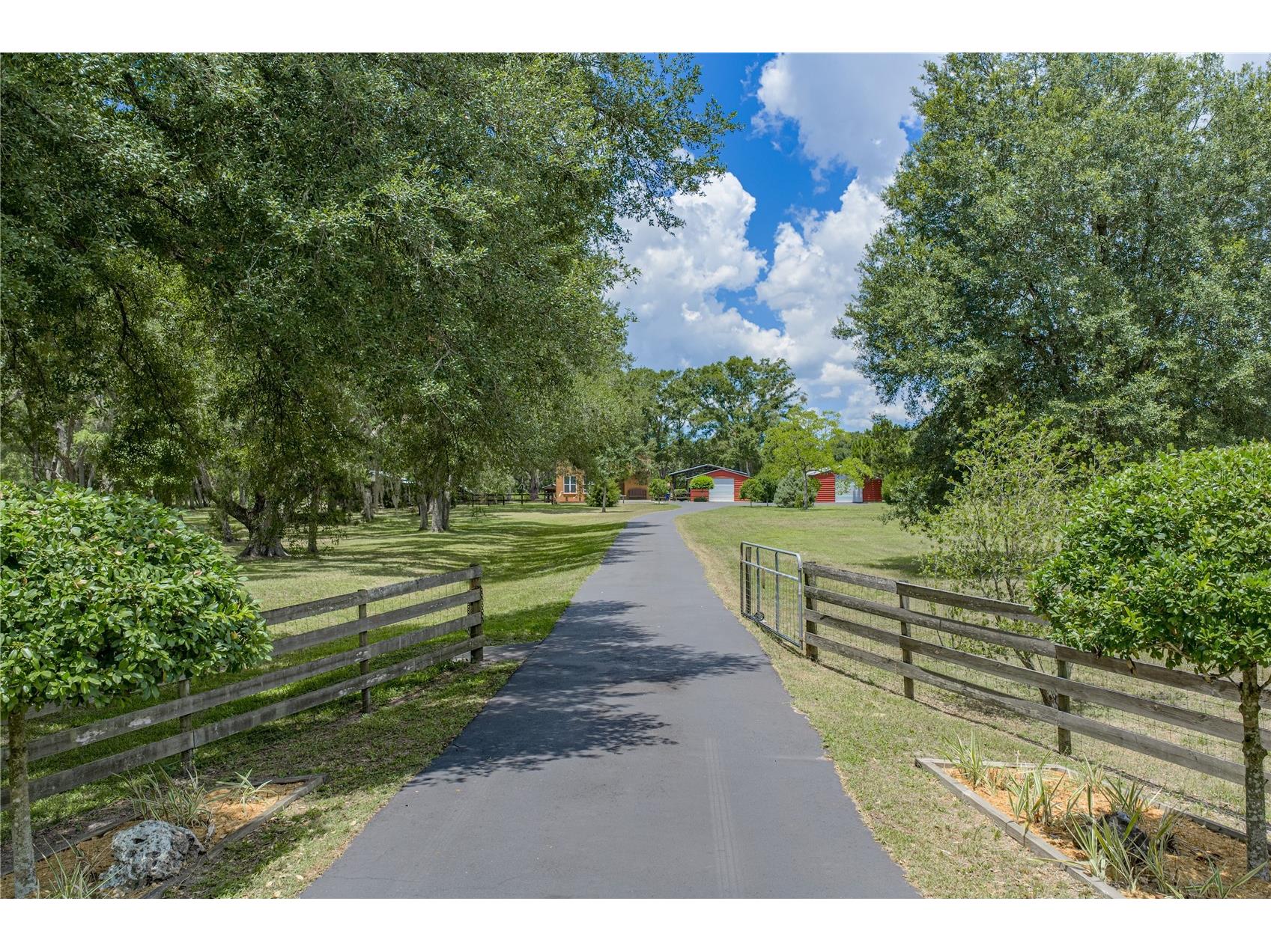 13031 Bellamy Brothers Boulevard Dade City FL 33525 - PRIVATE SPRING FED POND TB8522450 image7