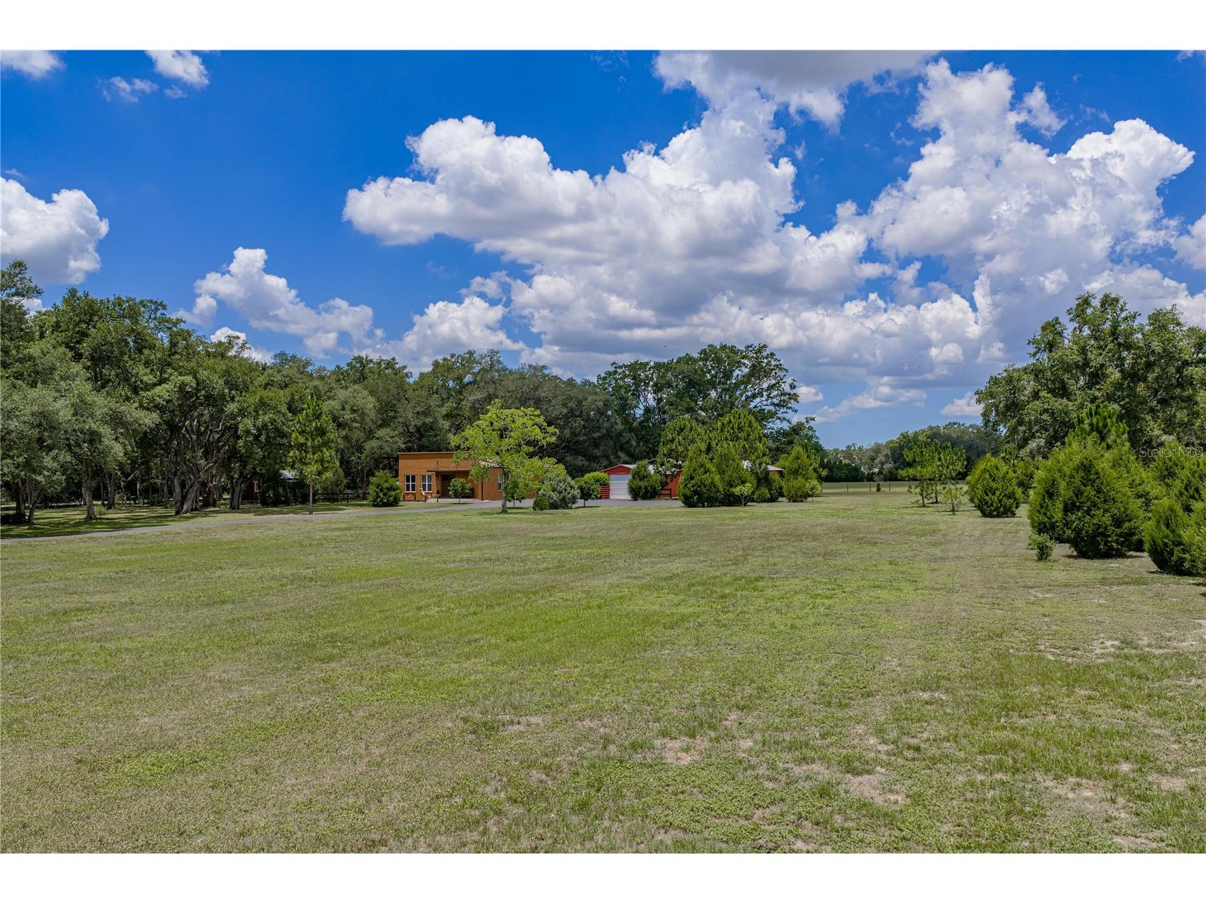 13031 Bellamy Brothers Boulevard Dade City FL 33525 - PRIVATE SPRING FED POND TB8522450 image8