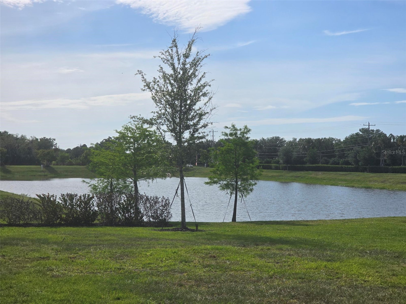 13031 Bluff Oak Way Parrish FL 34219 A4692522 image21