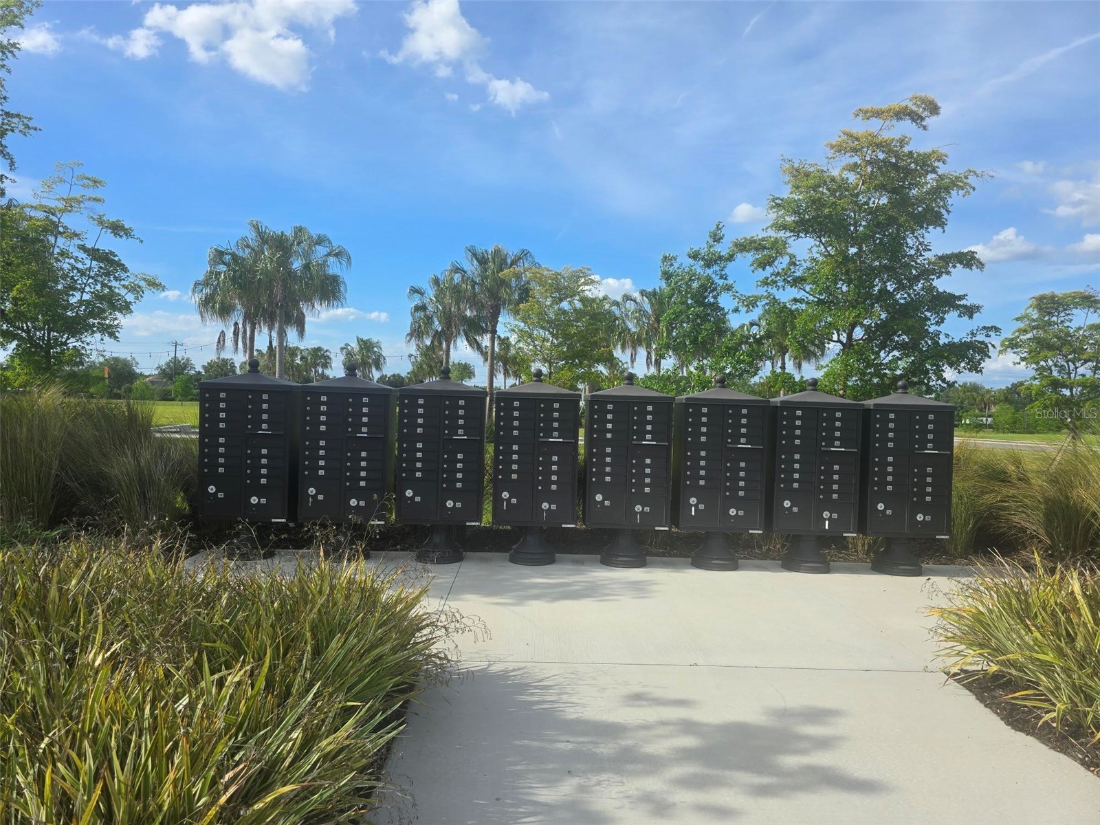 13031 Bluff Oak Way Parrish FL 34219 A4692522 image25