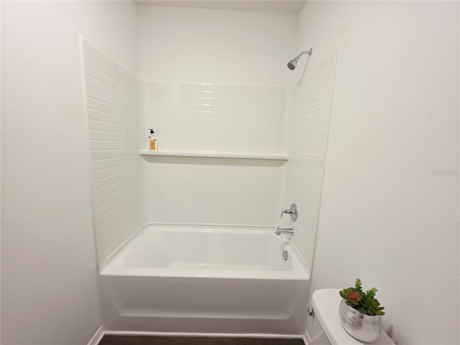 13031 Bluff Oak Way Parrish FL 34219 TB8477491 image31