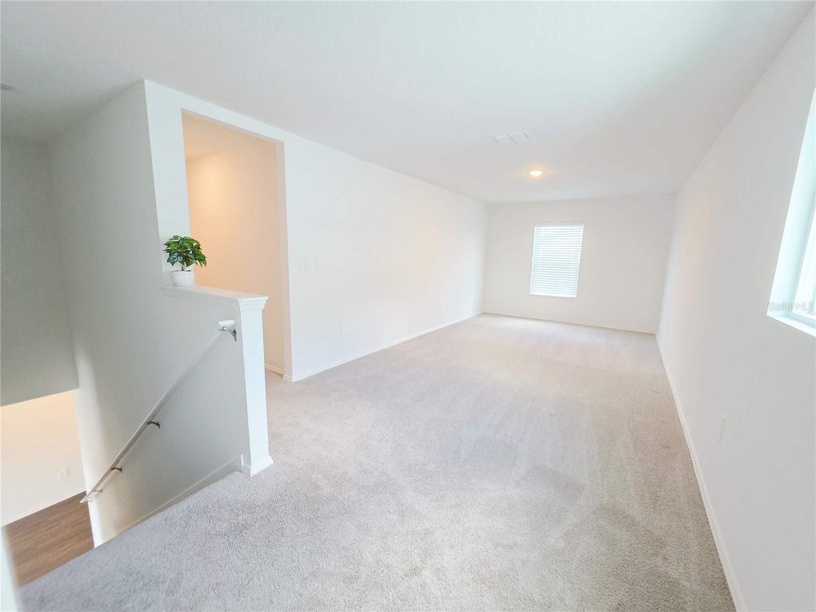 13031 Bluff Oak Way Parrish FL 34219 TB8477491 image44