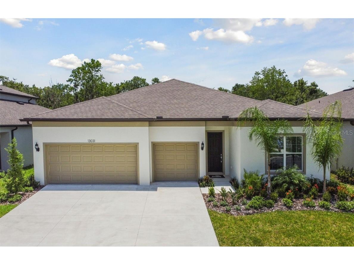 13031 David Baker Road Riverview FL 33579 T3489249 image1