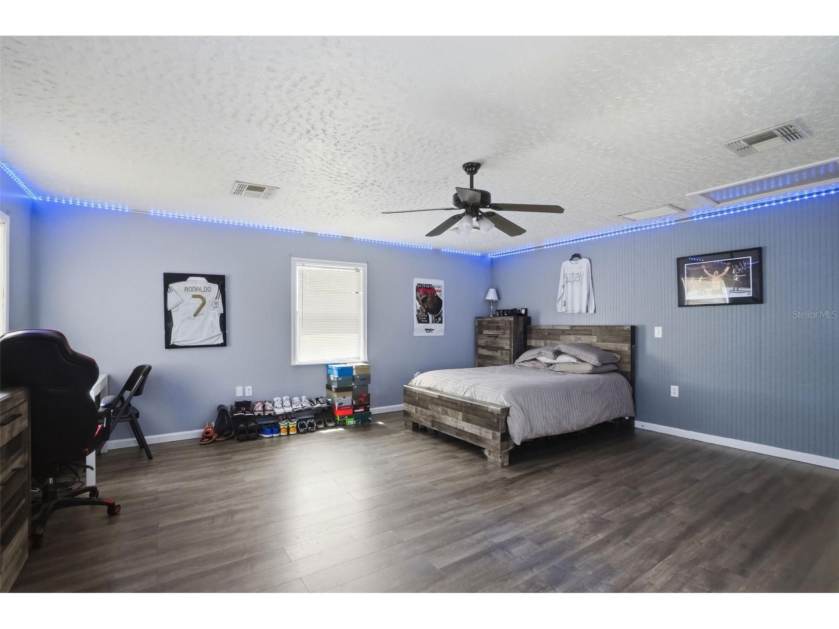 13032 Lola Drive Spring Hill FL 34608 W7886253 image32