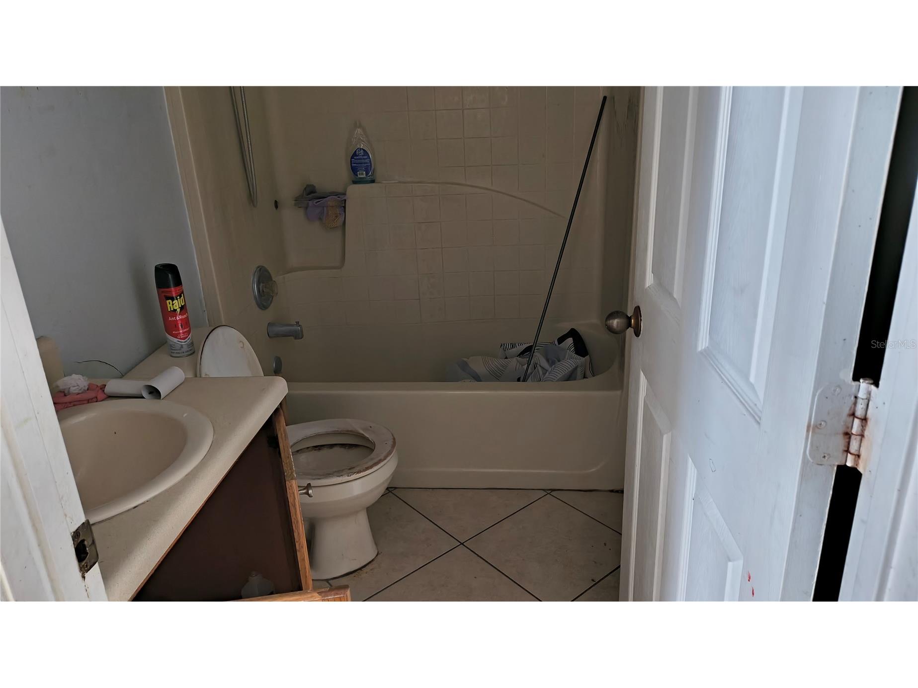 13032 Ruidosa Loop Orlando FL 32837 O6406335 image15