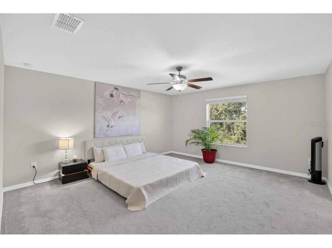 13033 Majestic Garden Lane Riverview FL 33579 TB8458682 image17