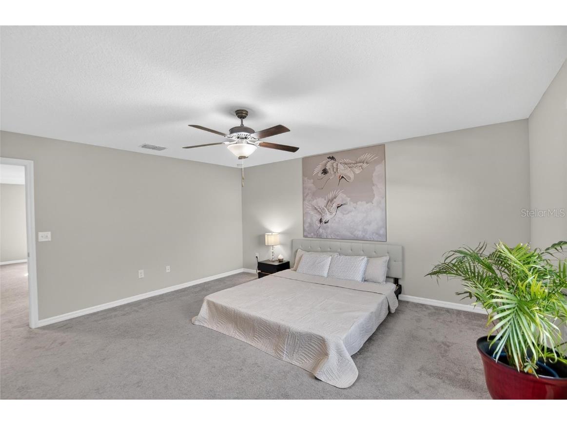 13033 Majestic Garden Lane Riverview FL 33579 TB8458682 image18