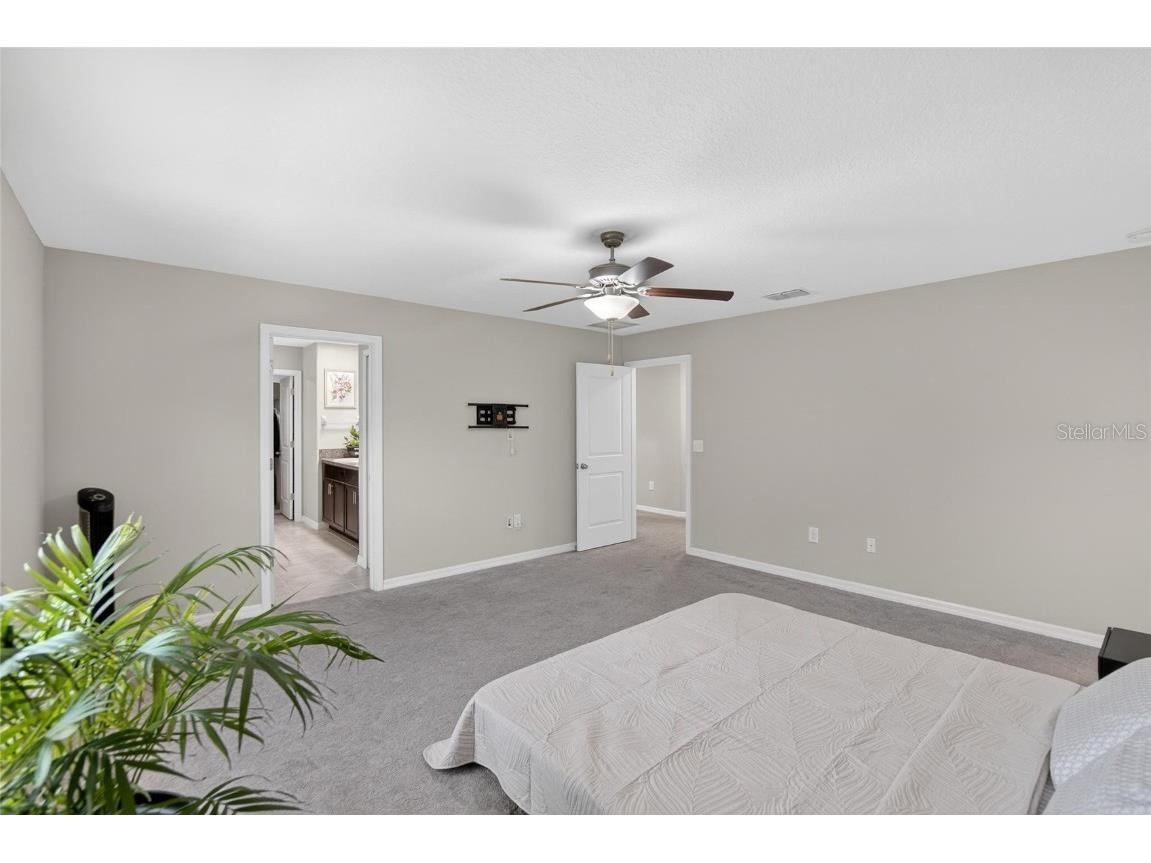 13033 Majestic Garden Lane Riverview FL 33579 TB8458682 image19