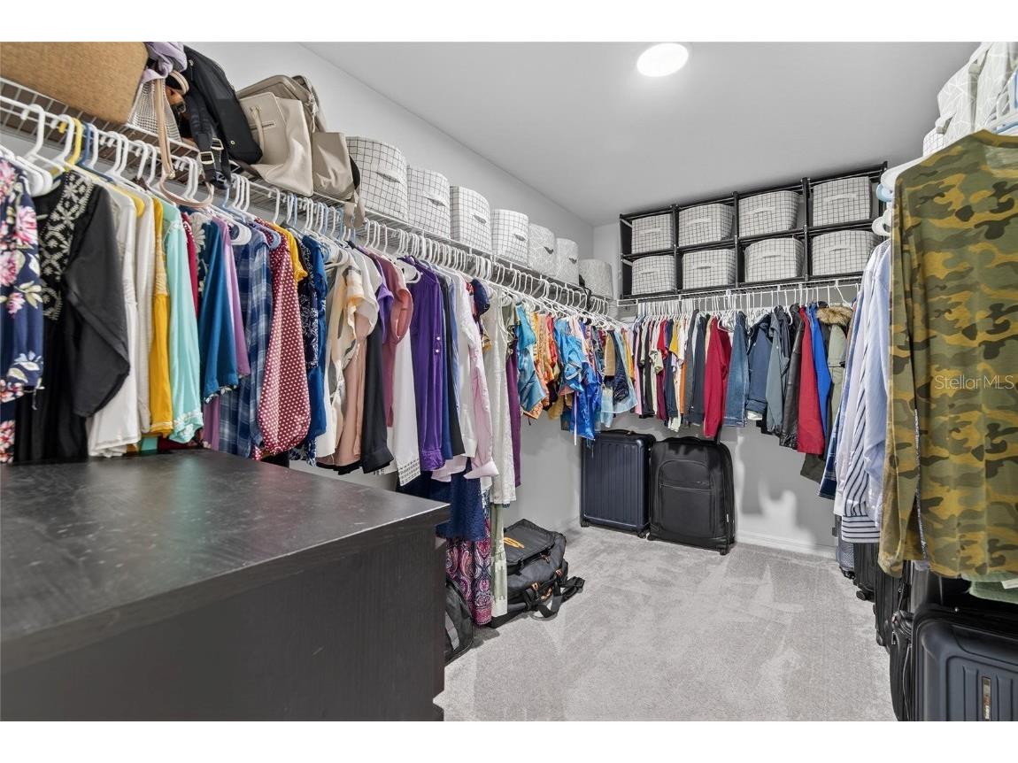 13033 Majestic Garden Lane Riverview FL 33579 TB8458682 image22