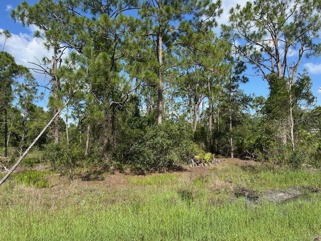 13036 Apache Drive Punta Gorda FL 33955 C7513080 image5