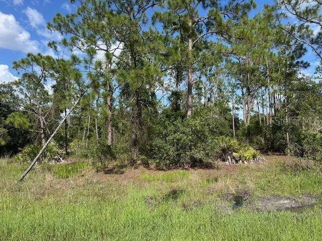 13036 Apache Drive Punta Gorda FL 33955 C7513080 image6