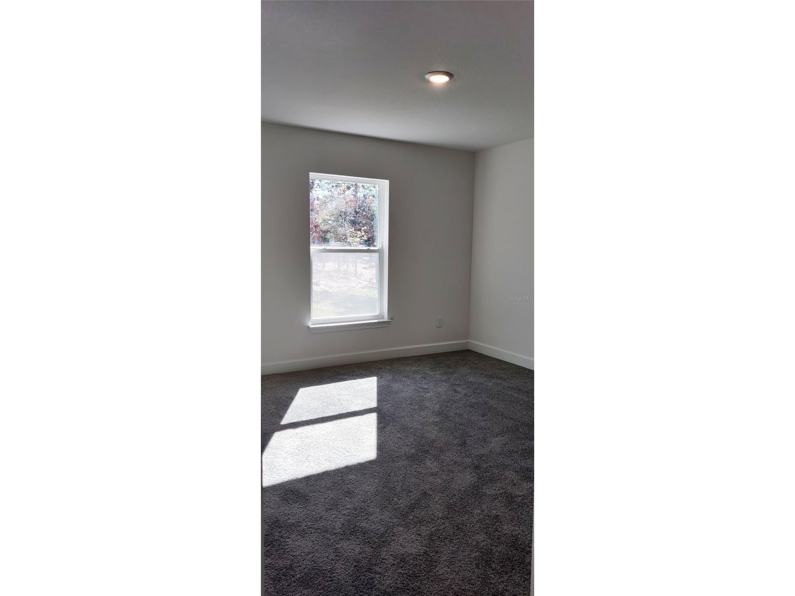 13036 Florence Court Brooksville FL 34614 OM712874 image15