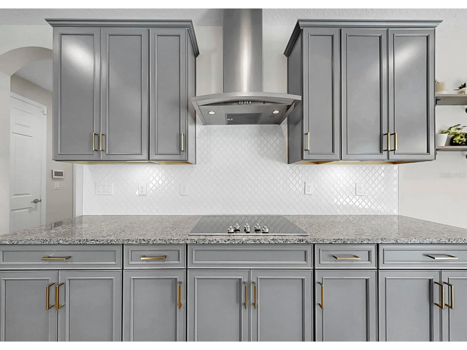13036 Pennybrook Drive Riverview FL 33579 TB8494320 image52