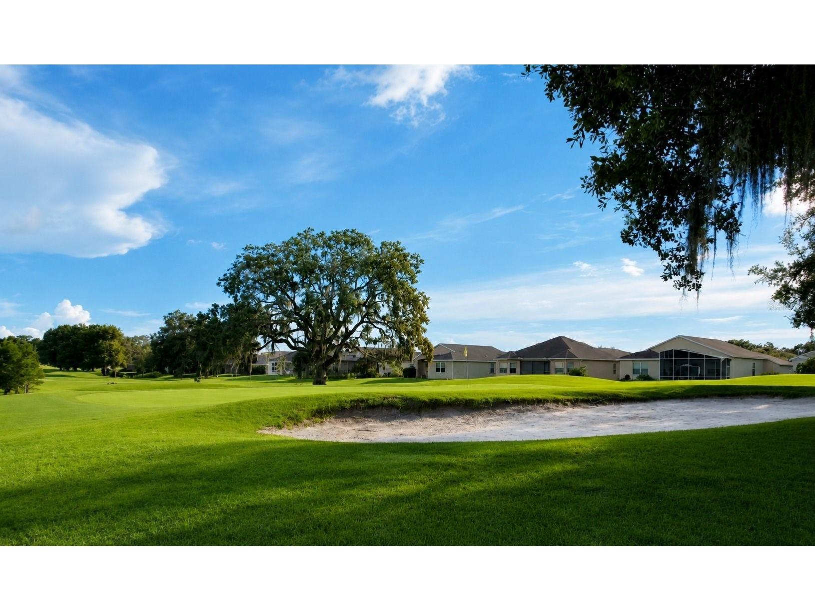 13036 Topflite Court Hudson FL 34669 O6413161 image39