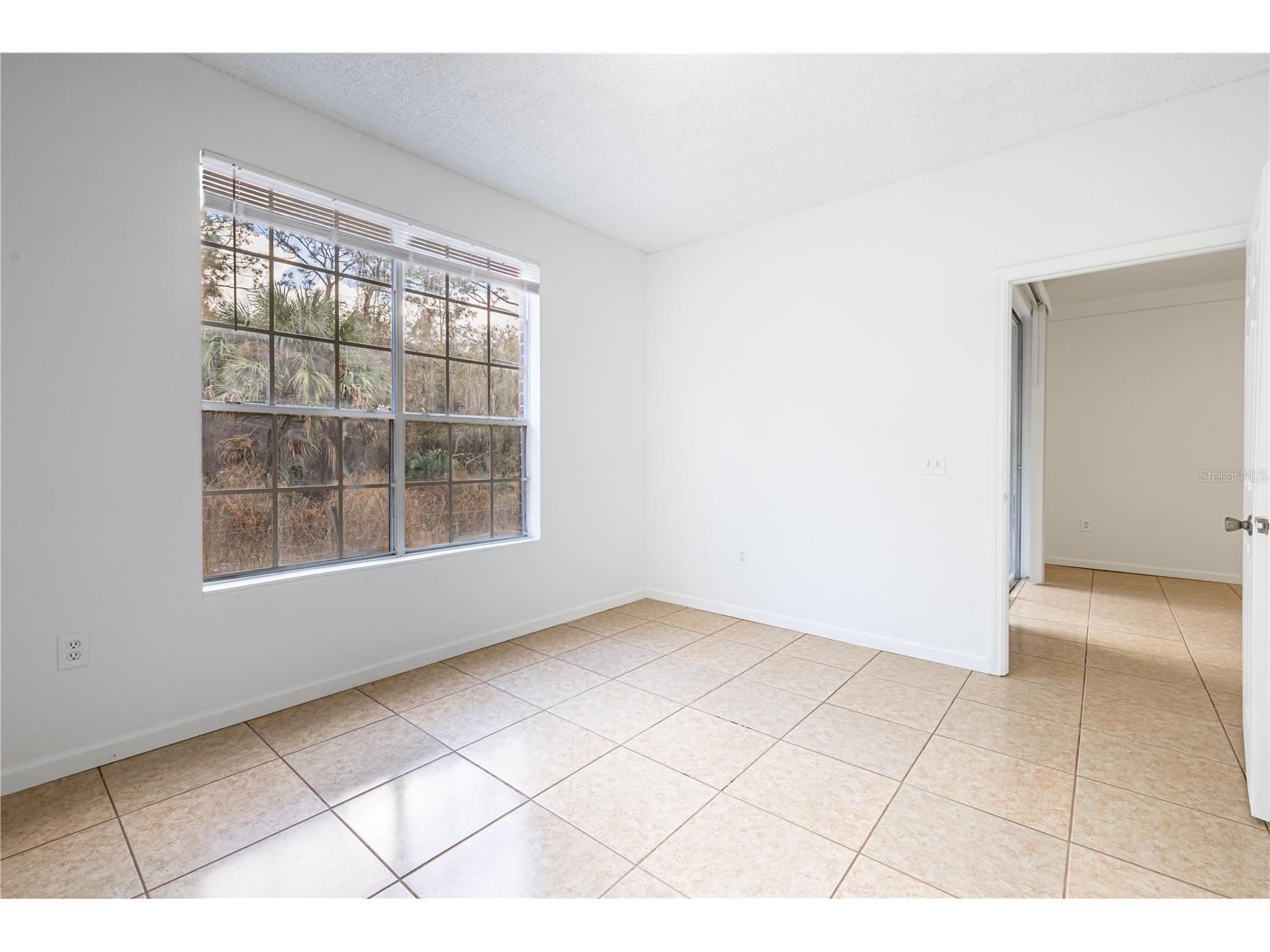 13037 Mulberry Park Drive #517 Orlando FL 32821 O6384886 image21