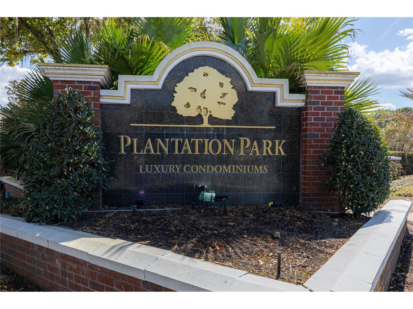 13037 Mulberry Park Drive #517 Orlando FL 32821 O6384886 image37