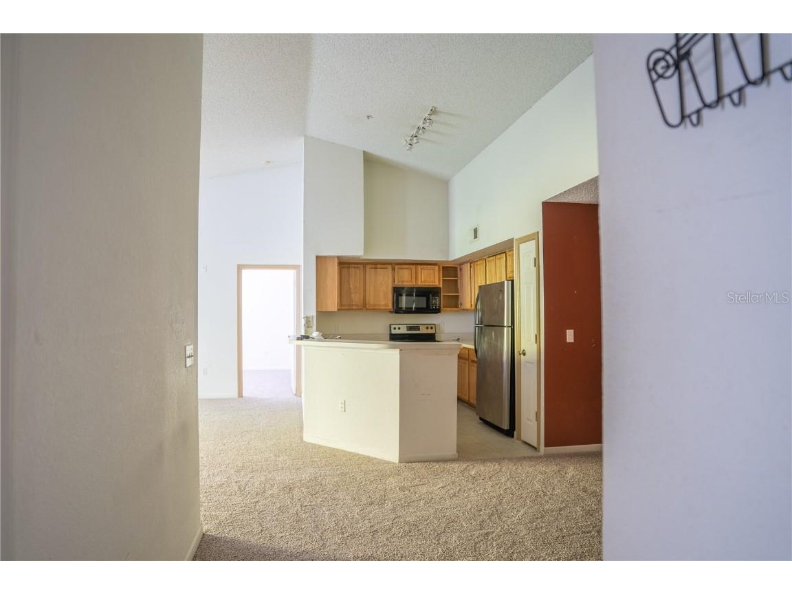 13037 Mulberry Park Drive #5211 Orlando FL 32821 O6325383 image3