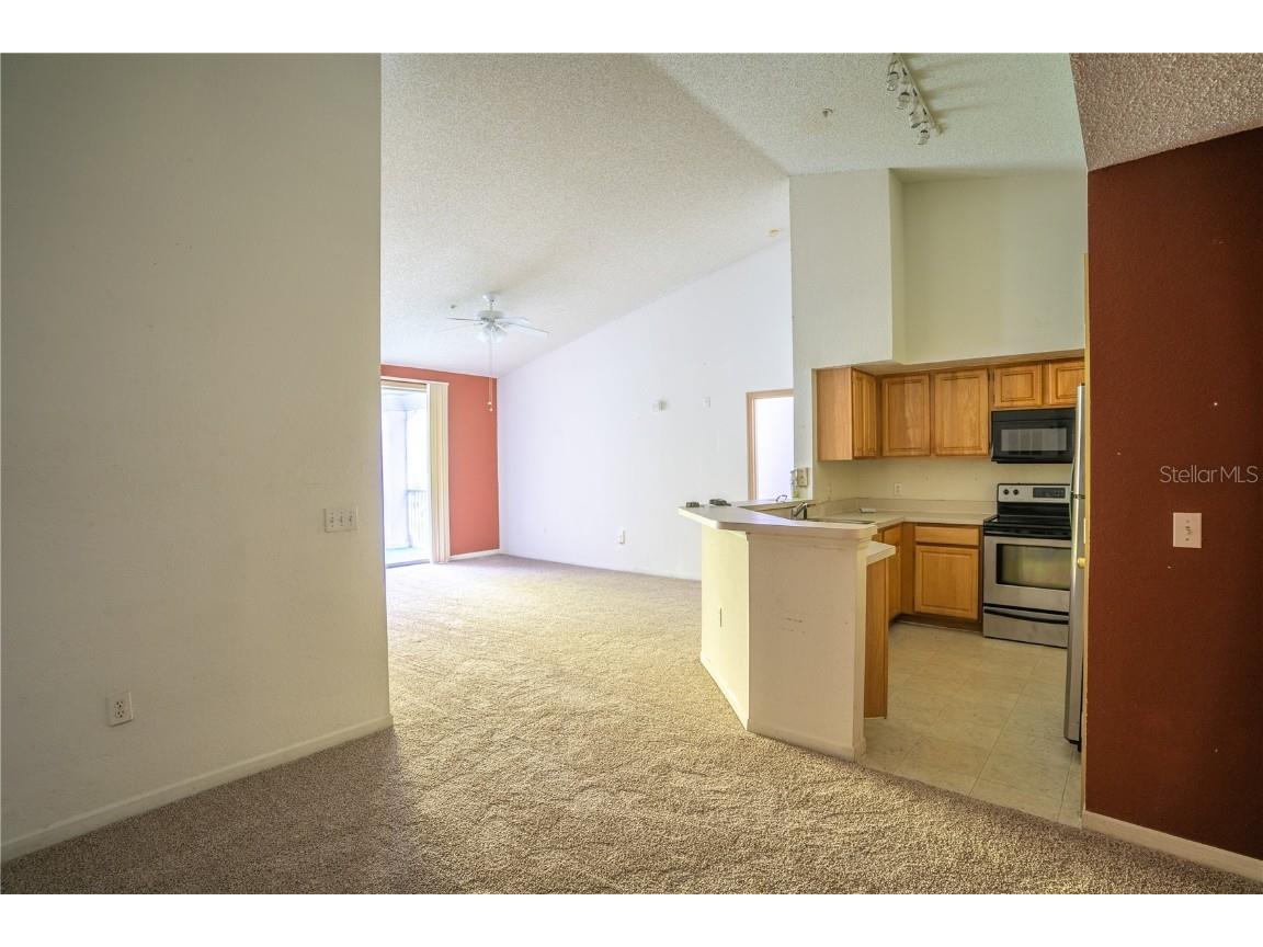 13037 Mulberry Park Drive #5211 Orlando FL 32821 O6325383 image4